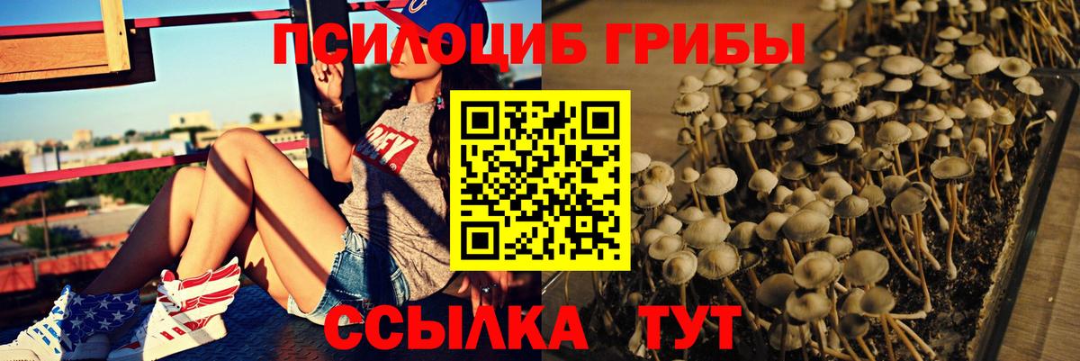 Псилоцибиновые грибы мухоморы Ижевск
